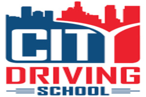 city driving school 1